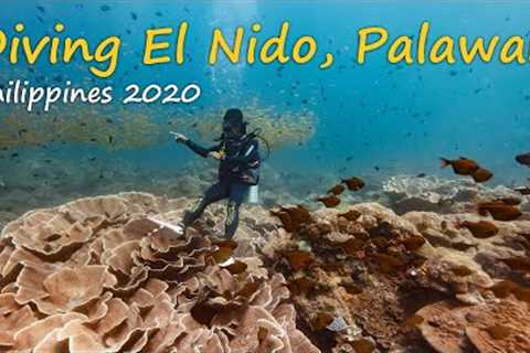 Travel Philippines - Scuba Diving El Nido - Palawan