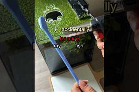 How I Accidentally broke my Fish tank 🪨