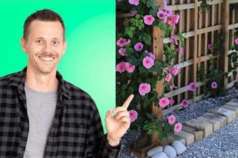 Small Landscaping Changes, BIG RESULTS
