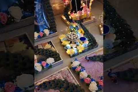 Peacock Theme Wedding Packing 9350811962 #trousseau #shaadi #trays in Delhi ncr, Yamunanagar, Karnal
