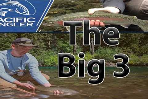 Top 3 Ways We Fly Fish In Trout Rivers + The Gear You Need