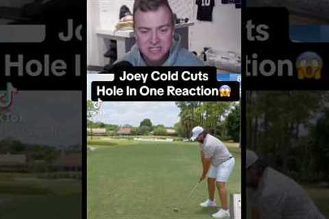 JOEY COLD CUTS HOLE IN ONE REACTION! WOWW #bobdoessports #golf #youtubegolf #goodgood #holeinone