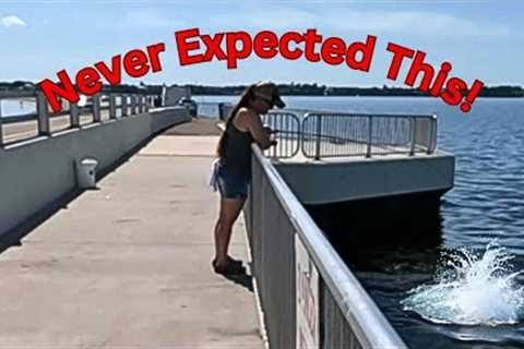Eating whatever I CATCH underneath a bridge LOADED with fish!! (Catch &amp; Cook)
