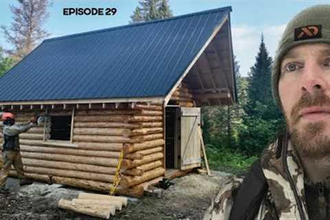 Log Cabin Build on Off-Grid Homestead |EP29|