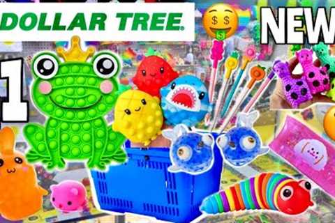I BOUGHT EVERY NEW HIDDEN FIDGET, POP IT, &amp; SQUISHMALLOW AT DOLLAR TREE! 🤑😱 No Budget..