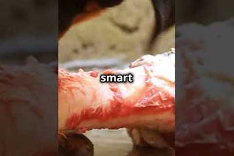 Rottweiler 101: Essential Traits, Training Tips, and Must-Know Advice! #shorts
