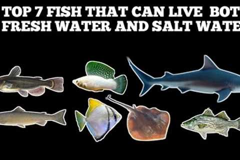 TOP 7 FISH THAT CAN LIVE BOTH FRESH WATER AND SALT WATER