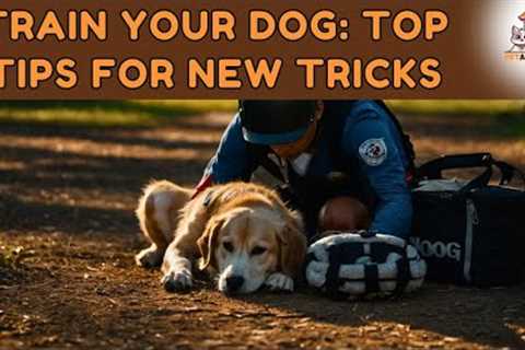 Top Training Tips |  How to Teach Your Dog New Tricks | #pets #dog #doglover #dogfunnyvideos #dogs