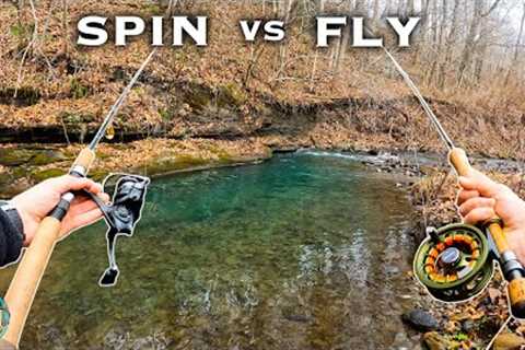 Fly Fishing vs Spin Fishing: Which is better?? (Trout Fishing)