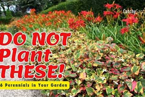 🚫 DO NOT Plant THESE 6 Perennials in Your Garden! 🌸 // Gardening Tips