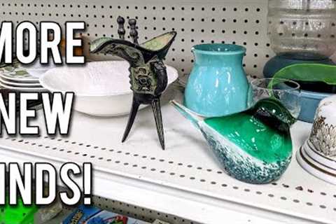 Thrift Shop with Me at Goodwill and All NEW Haul-Thrifting in 2022!
