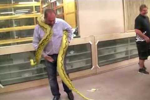 When Snake Videos Go WRONG!