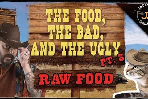 Cat Nutrition: The Food, The Bad, & The Ugly Part 3: Raw Food!