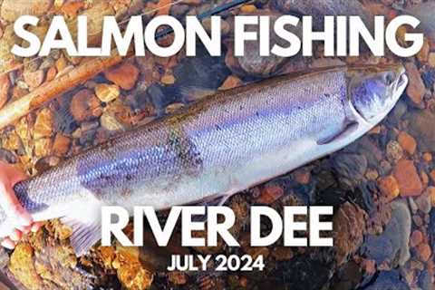 🎣 Salmon fishing on the river Dee, Scotland - July 2024 🐟