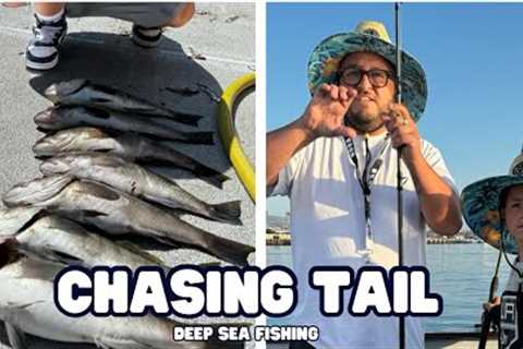 Deep Sea Fishing | Catching Bass, Clean, Then Cook! DUDE @dansportfishing