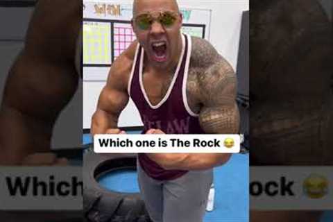 Which one is the Rock ? #shorts