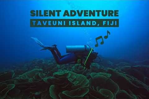 Scuba Diving in Fiji’s Rainbow Reef