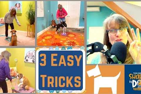 3 Easy Tricks Every Dog Should Know #68