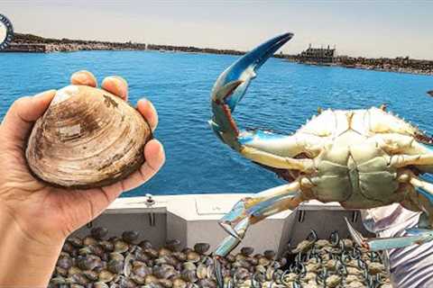 Catch Loads of BAY MONSTERS with Clam &amp; Blue Crab Bait!