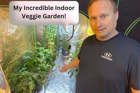 Indoor Vegetable Gardening for Sustainable Growing