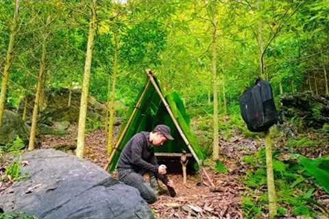 8 DAYS solo Survival Skills; (NO FOOD, NO WATER) Survival Shelter (Search Wild Food) Catch &amp;..