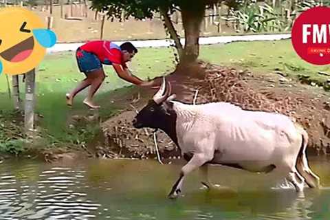Funny &amp; Hilarious People's Life 😂 #112 - Try not to Laugh | Funny Fails Compilation 2024
