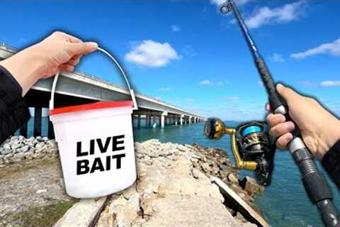 Eating Whatever I Catch.. Fishing a NEW Spot (Catch and Cook)