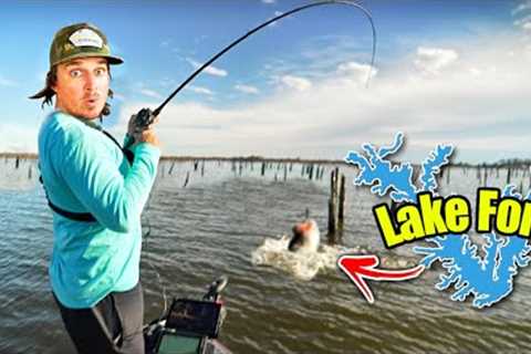 There's Absolute FREAKS Swimming around Lake Fork's FLOODED FOREST!! (Lake Fork Bass Fishing)