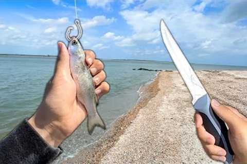Eating my BAIT.. (Catch, Clean, Cook) *Surprising*