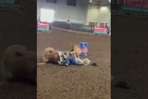 barrel racing accidents 😰