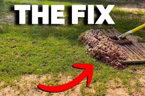 Fix YOUR Lawn Drainage and POA Problems NOW