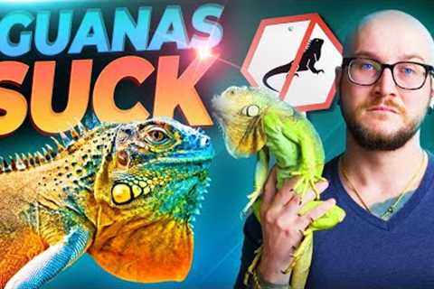 Green Iguanas SUCK! 3 Reasons Why YOU Should Never Get One!