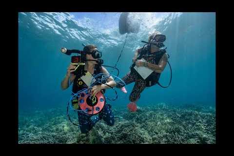 Live UNDERWATER, Scuba Dive- Maui, Hawaii