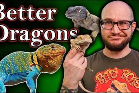 You DO NOT Want A Bearded Dragon! 5 BETTER Bearded Dragon Alternatives!