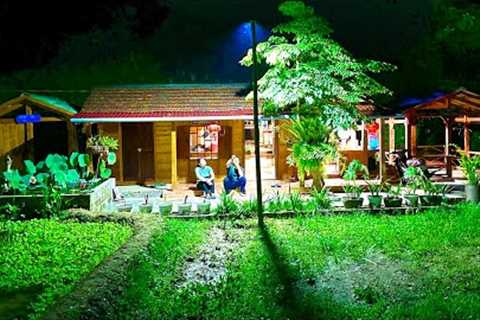 Journey of Installing Solar Lighting System on Farm: Building a Green Farm Together