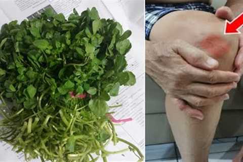 Top 5 Foods That STOP Joint Pain Fast &amp; Permanently! Get Rid Of Joint Pain Naturally!