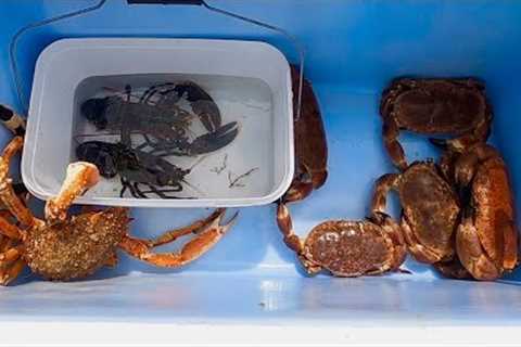 CRAB POTS FULL OF CRAB! Catch Clean Cook