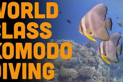 World Class Diving in Komodo National Park