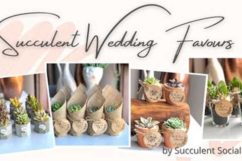 Succulent Wedding Favours / Gifts/ Bombonieres/ Giveaways