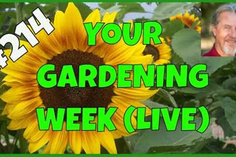 The Best Gardening Tips (Q&amp;A)