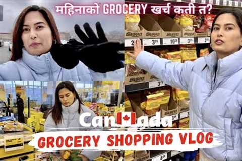 Canada grocery shopping vlog || Grocery expense in Canada for students || Grocery prices in 2023