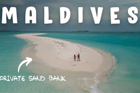 MALDIVES TRAVEL VLOG | private sandbank, scuba diving, underwater paradise