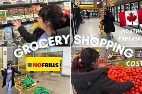 Grocery Shopping vlog | No frills Canada | Cost | monthly expenses in Canada 🇨🇦