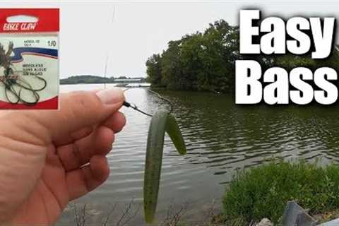 Easy Bass Fishing for ANYONE - Affordable Fishing for Beginners