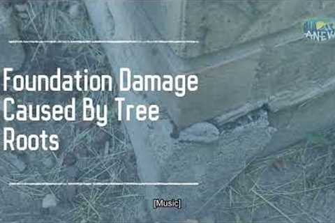 Foundation Corner Repair