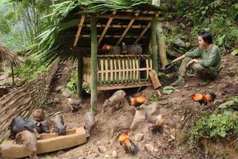 FULL VIDEO; jungle survival, jungle chicken trap, giant fish catch, survival skills
