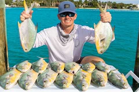 Florida's Most EXPENSIVE Fish...Here's Why! Catch Clean Cook (Florida Pompano)