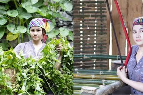 Survival skills: bamboo bed finishing - pick precious medicinal plants in the forest