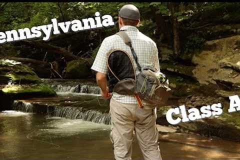 The Most Gorgeous Trout Stream?? / Fly-Fishing for Wild Brook Trout on Pennsylvania Class A Water