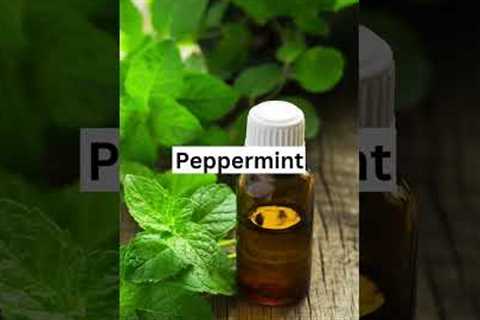 Best Essential Oils That Are Natural Pain Relievers!  #shorts #easy #health #hacks #tips